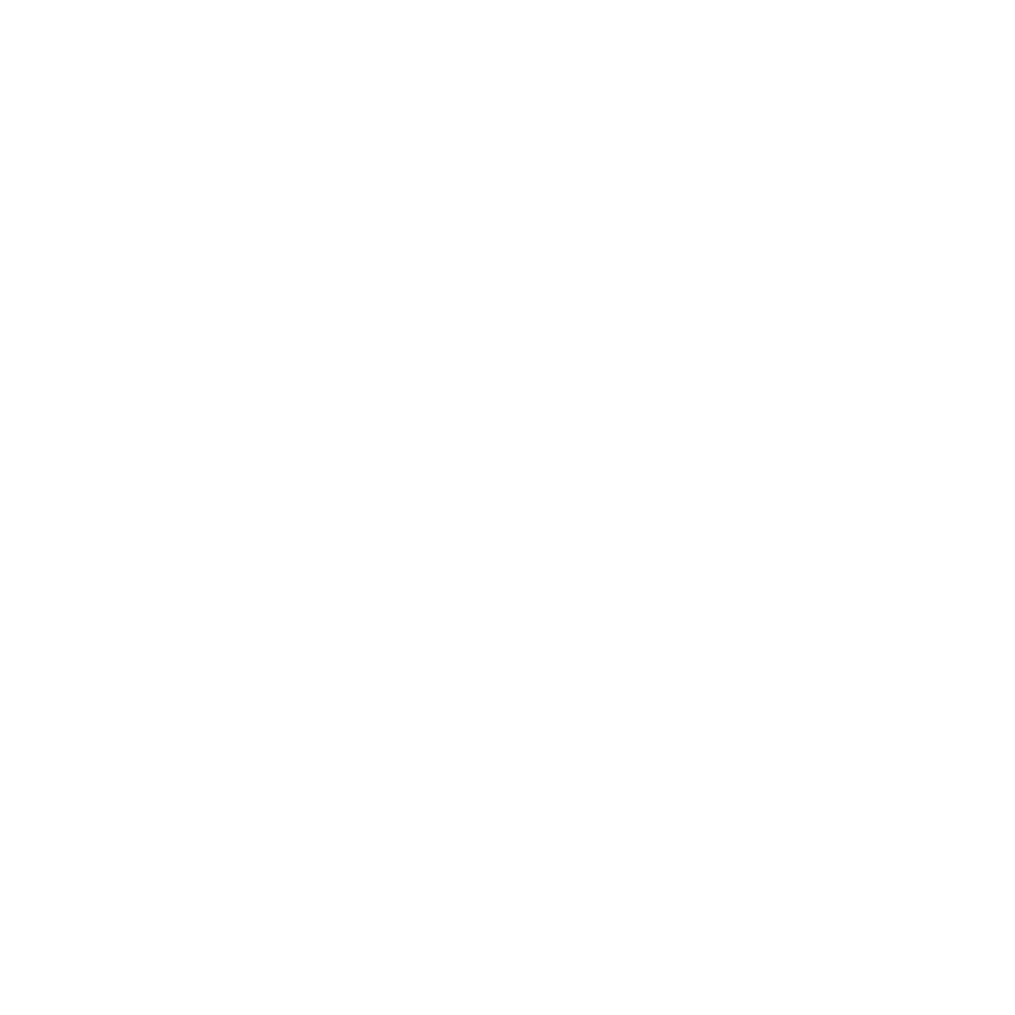 tsg — tijuca strategy group